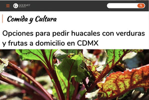 GourmetDeMexico.com.mx