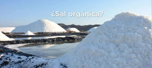 ¿Existe la sal orgánica?