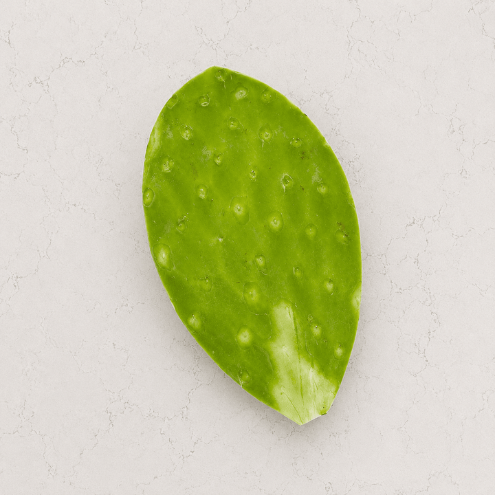 Nopal mediano - 4 piezas