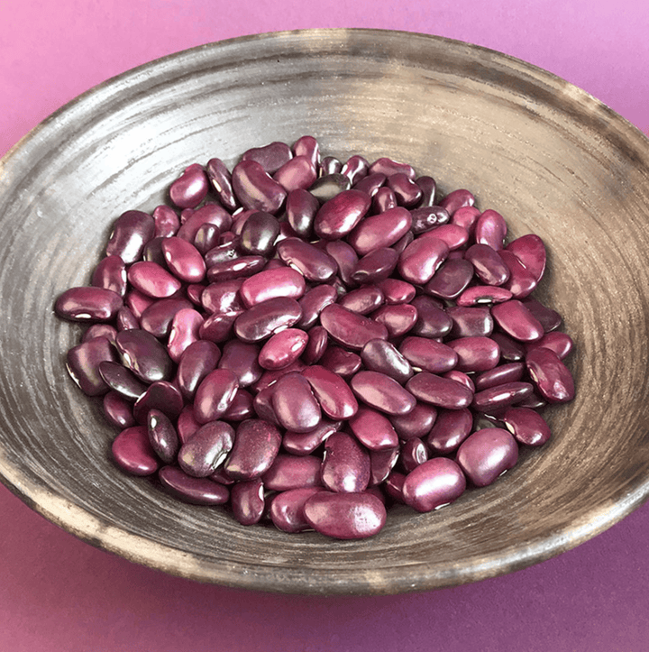 DILMUN Frijol ayocote arcoíris 500g La Comandanta