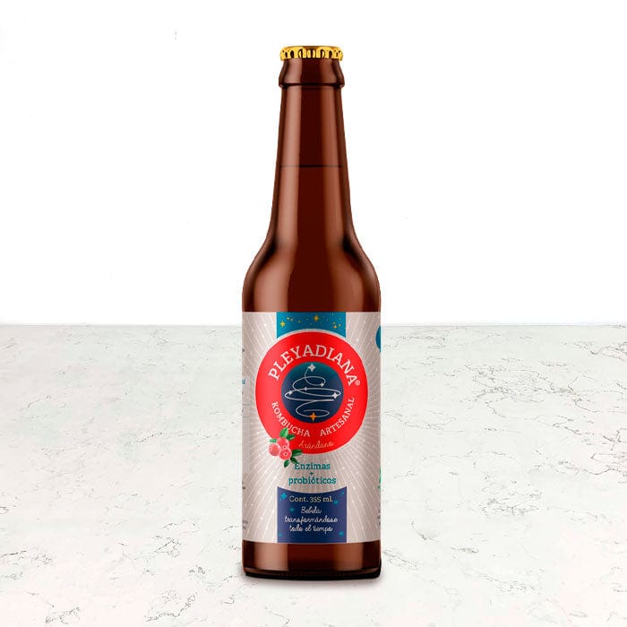 DILMUN Kombucha de arándano 355ml Pleyadiana