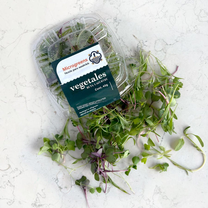 DILMUN Mezcla de brotes agroecológicos para sandwich – 1 domo Ruta Lacustre