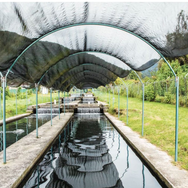 DILMUN Visita Nemi Natura CON TRANSPORTE