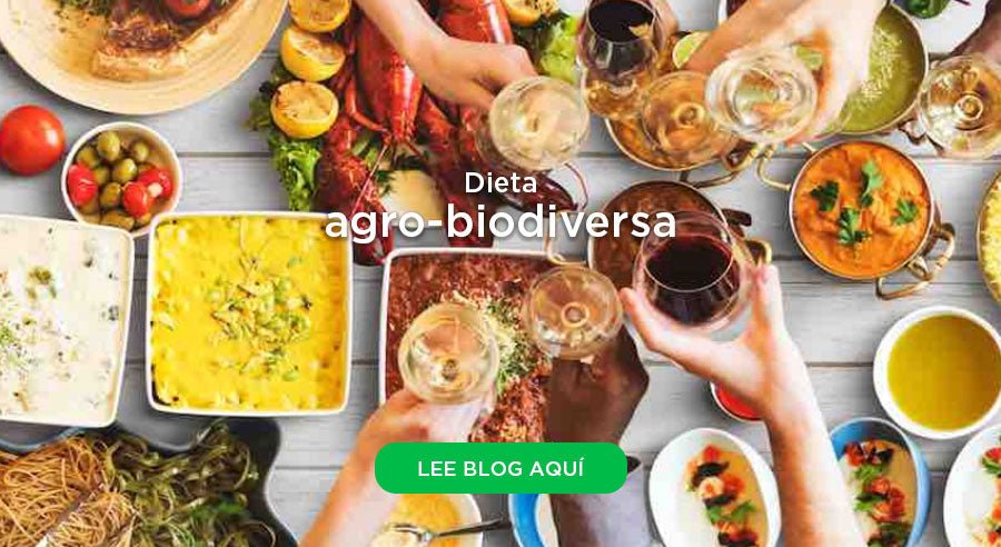 La diversidad no sólo se refiere a género, está en todo nuestro alrededor