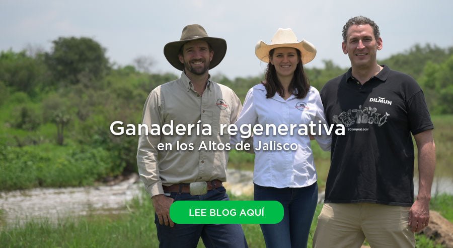 ¿De dónde viene tu pollo orgánico? De Santa Pradera, de ganadería regenerativa