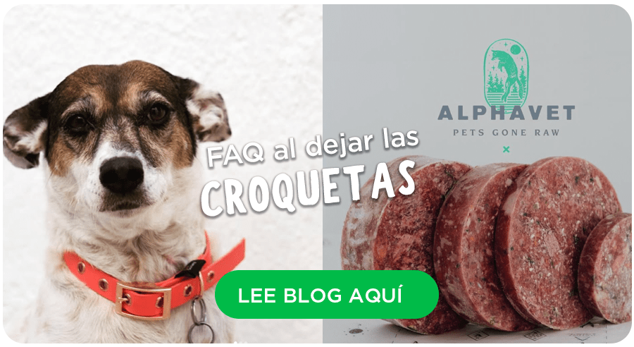 Frankenprey: Preguntas frecuentes al dejar las croquetas
