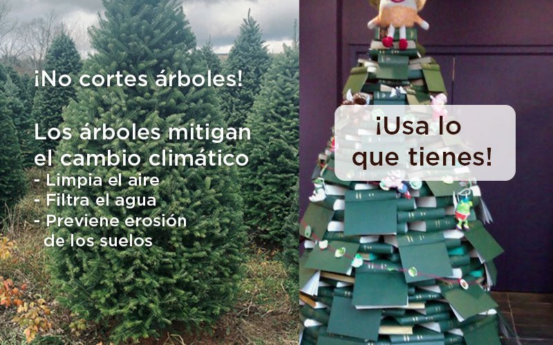 ¿Qué árbol de navidad es sustentable?