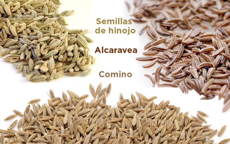 Diferencia entre comino, alcaravea y semillas de hinojo