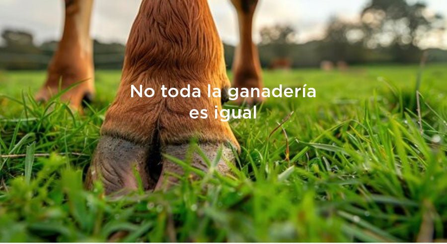 No toda la carne es igual, asi como no toda la ganadería es igual