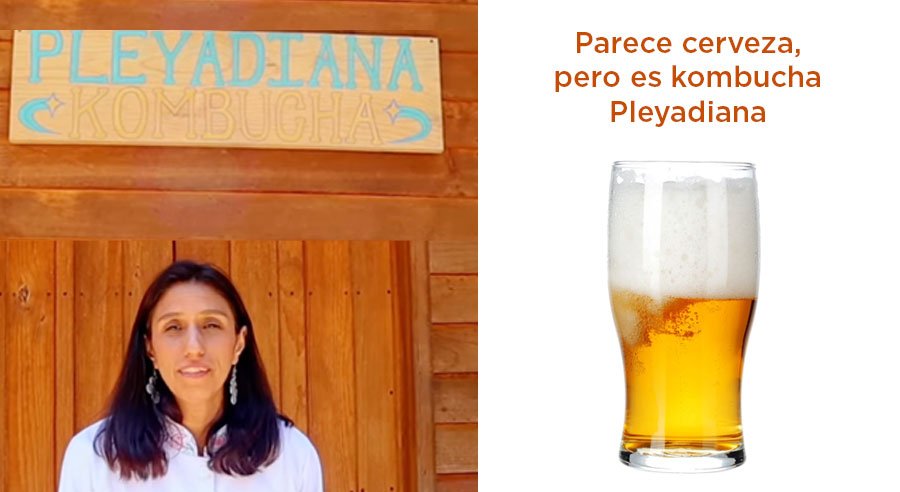 Fermentada desde el corazón: kombucha Pleyadiana