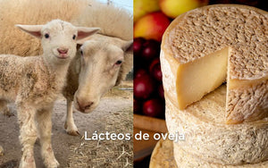 4 Diferencias entre el queso de cabra y de oveja