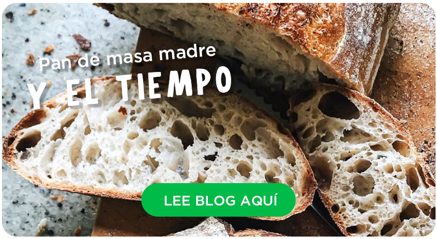 ¿Qué nos enseña el pan de masa madre sobre el tiempo?