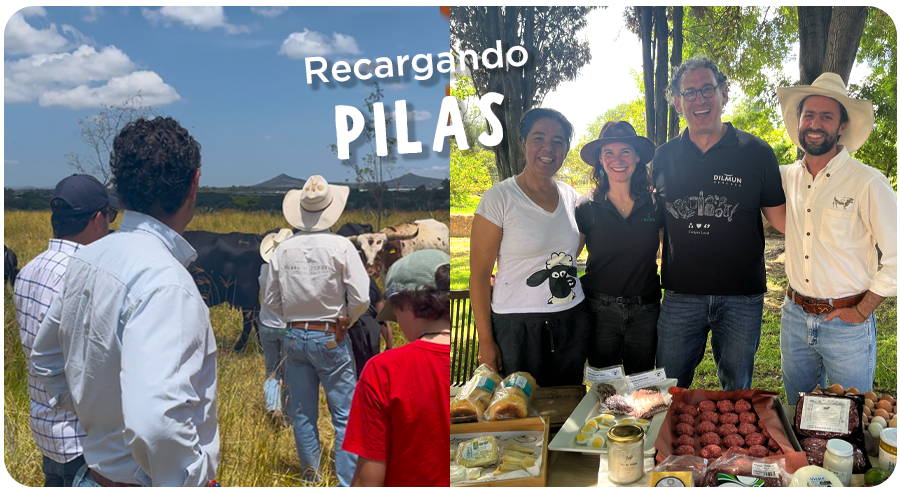 Visita a Tierra de Todos: Un día recargando pilas
