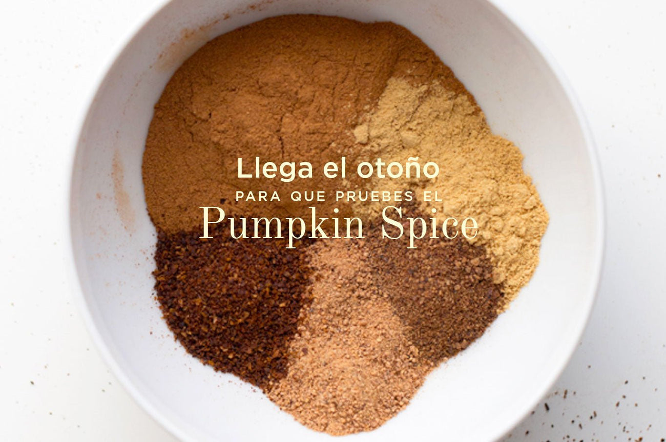 ¿Cuáles son los sabores del otoño? ¡Pumpkin Spice!