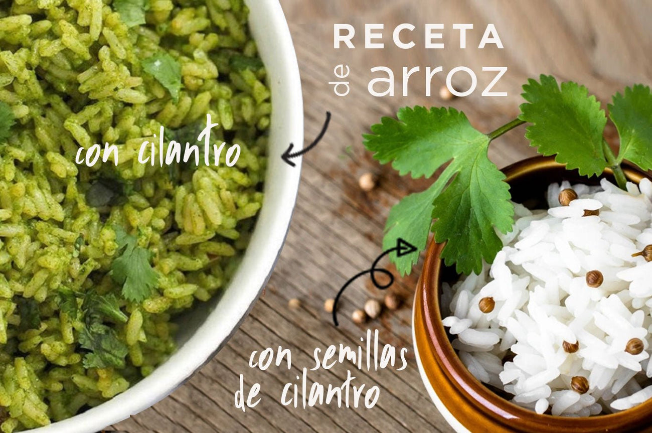 Receta de arroz con cilantro y arroz con hojas de cilantro... no es lo mismo