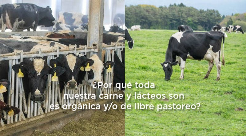 ¿Por qué toda la carne que vendemos es orgánica y/o de pastoreo?