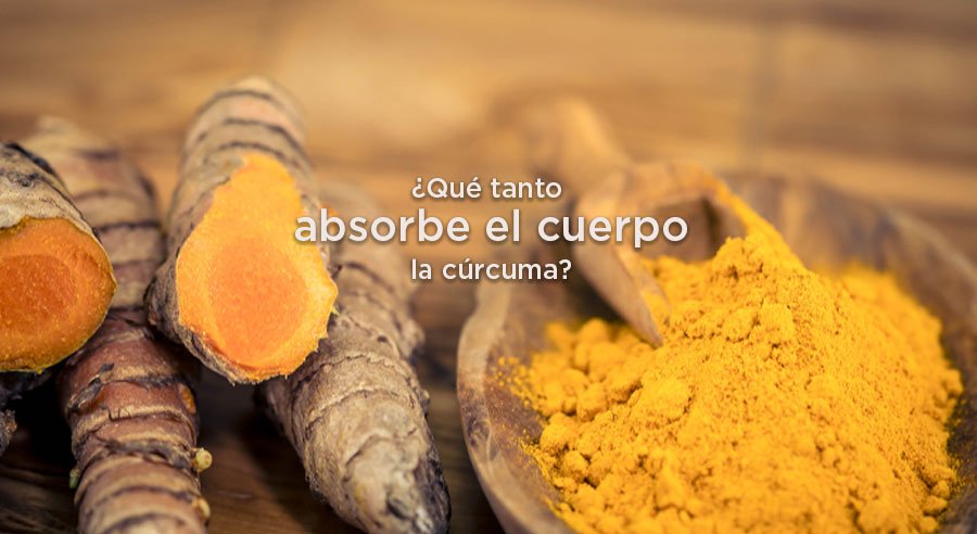 ¿Nuestro cuerpo logra absorber y aprovechar la cúrcumina de cúrcuma?