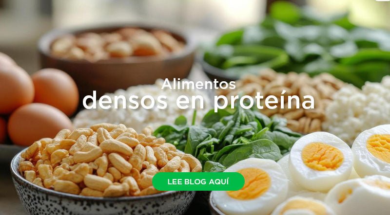 13 Alimentos densos en proteína