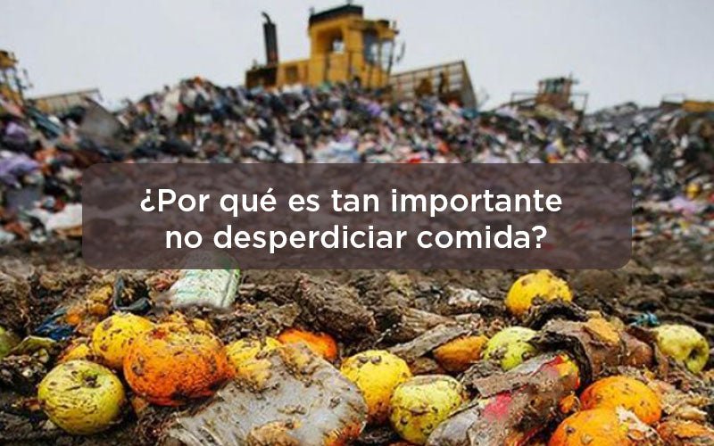 ¿Por qué es tan importante no desperdiciar comida?