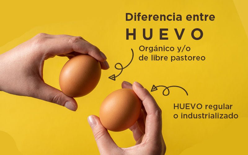 ¿Cuál es la diferencia entre huevo orgánico y/o de libre pastoreo y el regular?