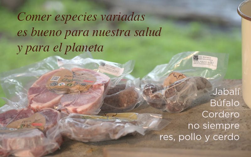 ¿A qué saben las carnes de animales exóticos?