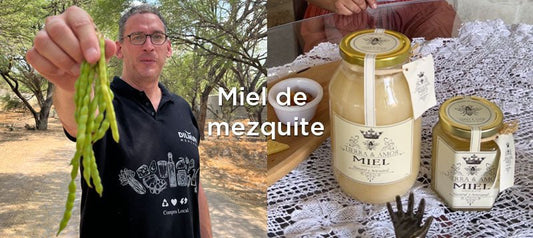 ¿A qué sabe la miel de abeja de mezquite?