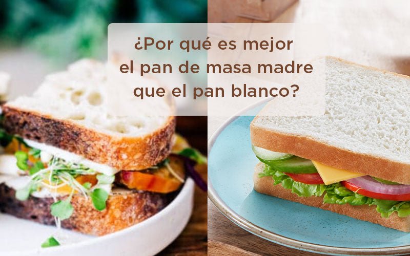 ¿Por qué el pan de masa madre es mejor que el pan blanco?
