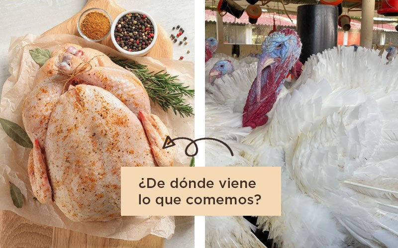 Desconexión de nuestros alimentos