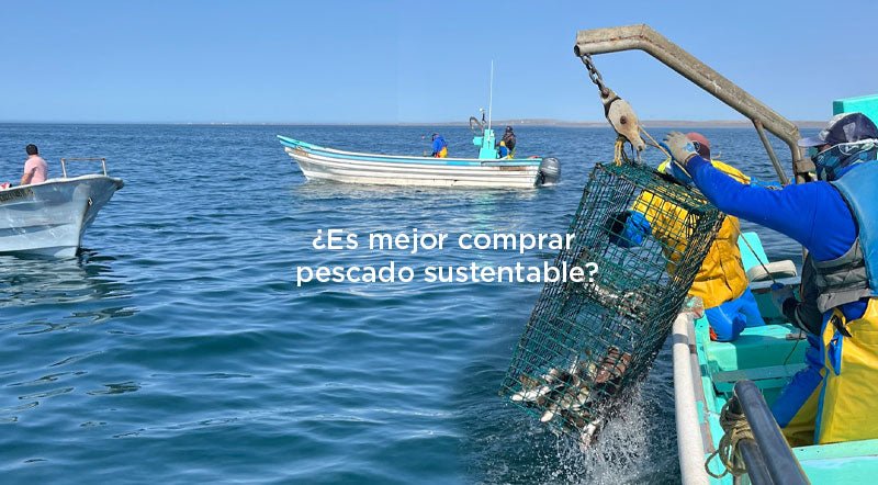 ¿Cuál es la diferencia entre comprar pescado sustentable y no sustentable?