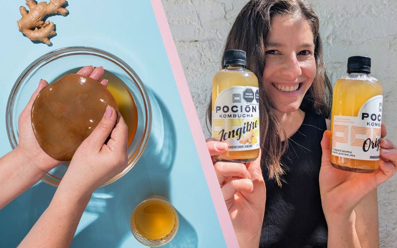 ¿Qué es una kombucha "real"?