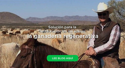 ¿Cómo ayudo a la restauración de suelos erosionados desde la ciudad?