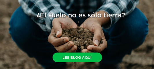 ¿Qué es la salud del suelo? ¿La tierra no es sólo tierra?