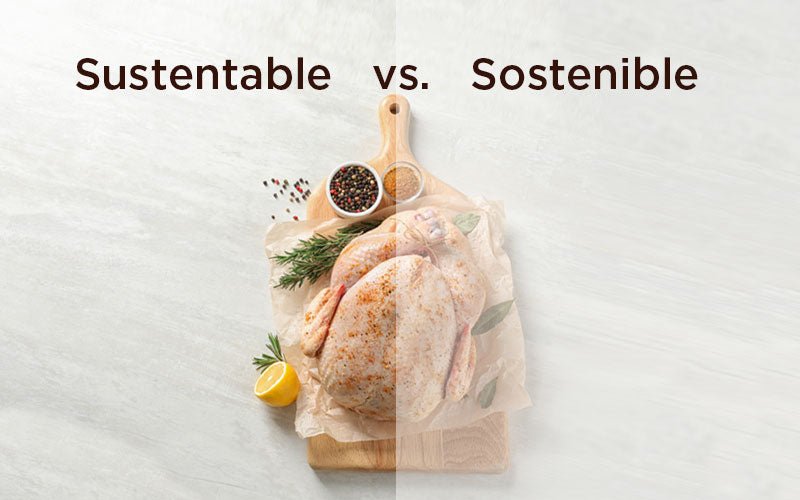 ¿Cuál es la diferencia entre sostenibilidad y sustentabilidad? ¿No son lo mismo?