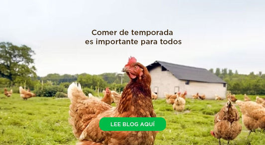 Sabores que cambian con los meses: alimentos de temporada
