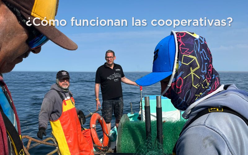 La unión hace la fuerza: cooperativas rurales