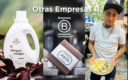 ¿Qué Empresas B venden sus productos en DILMUN?
