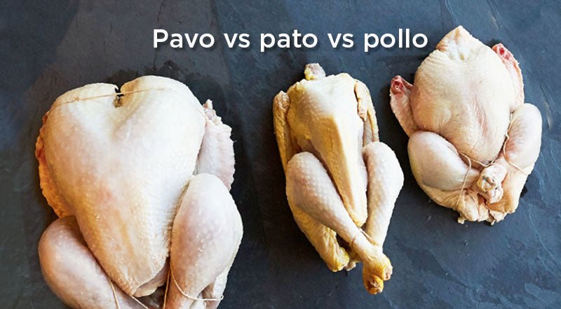 Diferencia entre carne de pollo, pato y pavo