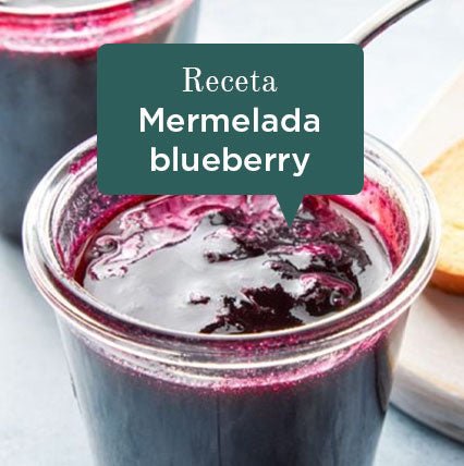 Receta mermelada casera de blueberry orgánica