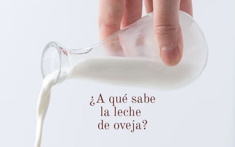 ¿A qué sabe la leche de oveja?