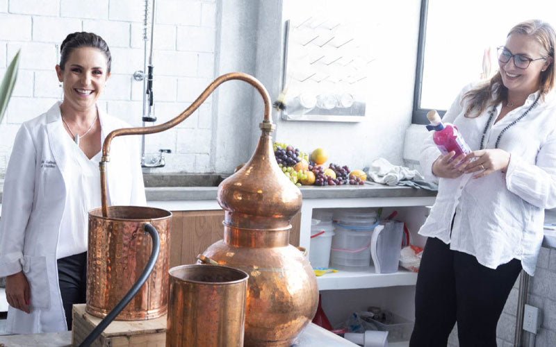 Ginebra y tips para preparar cocteles