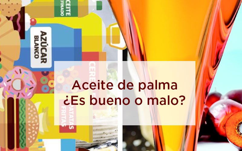El aceite de palma ¿Es bueno o malo?