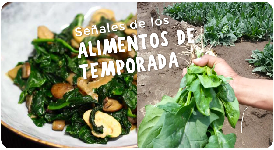Cuando un alimento escasea, nos está diciendo algo