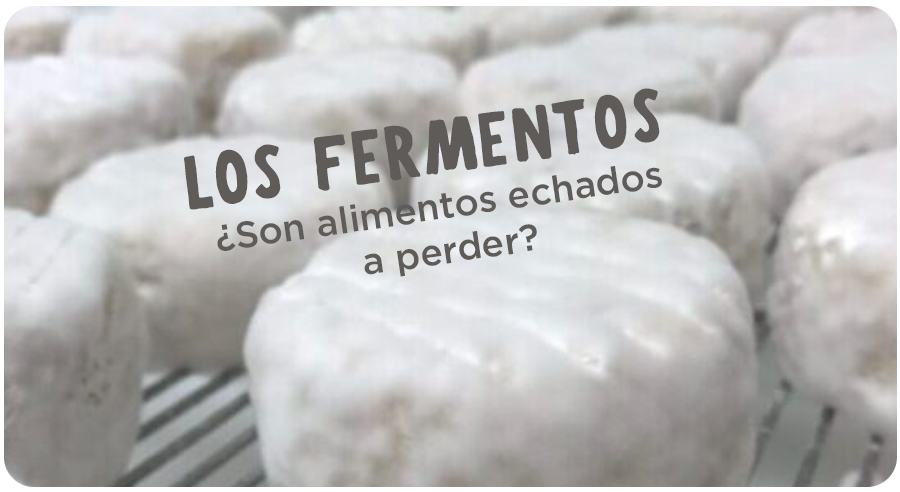 Los fermentos ¿son alimentos echados a perder?