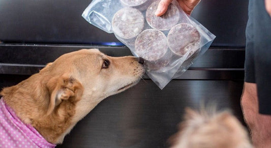 Comer bien no debería ser solo cosa de humanos