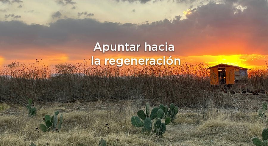 La necesidad es apuntar hacia la regeneración