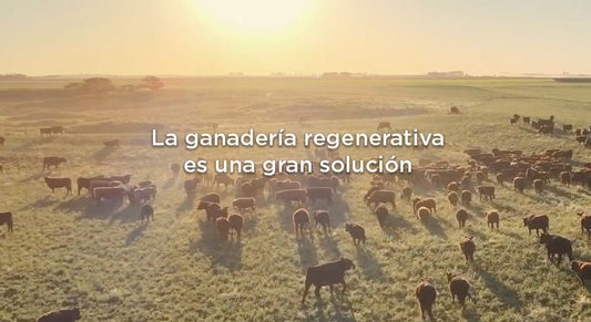 La ganadería regenerativa puede ser transformadora