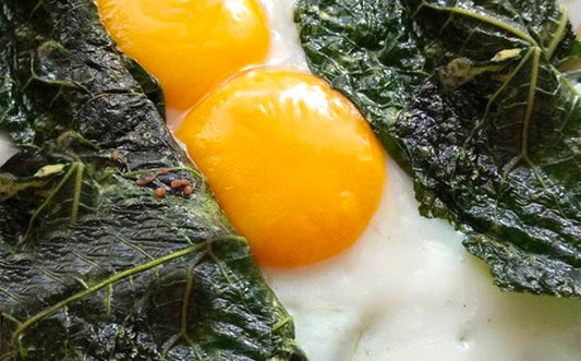 Receta huevos en hoja santa