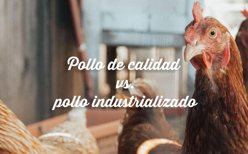 Pollo de calidad vs. pollo industrializado