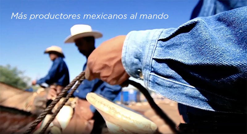 Ganadería revuelta en DILMUN, carne 100% mexicana