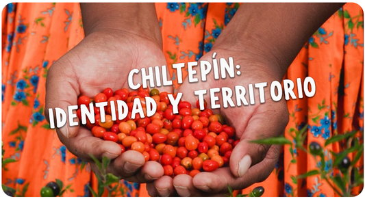 El chiltepín no solo se come… se siente